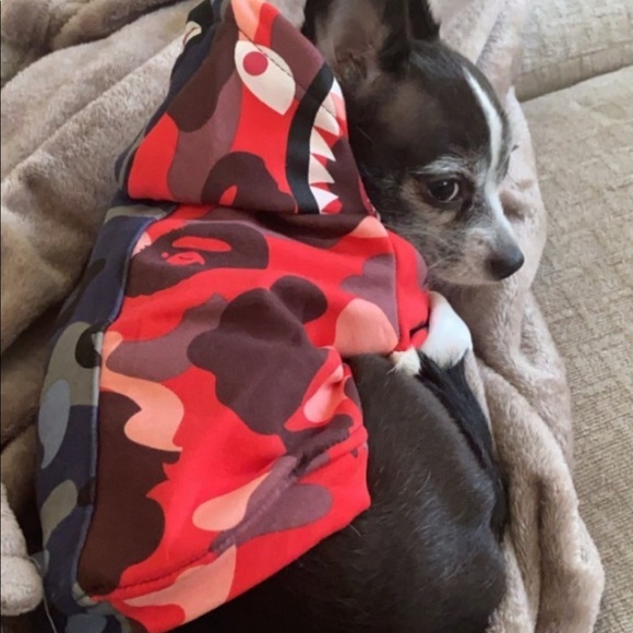 Meet your Posher, Kelly - Picture 1 of 1